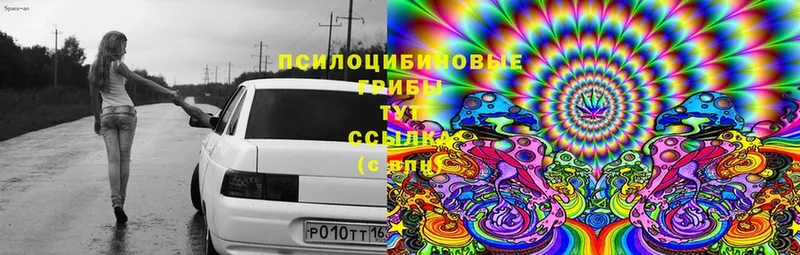 сколько стоит  Прокопьевск  Галлюциногенные грибы MAGIC MUSHROOMS 